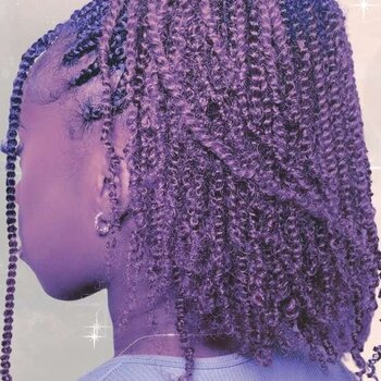 Top 10 dos Penteados Twists para Cabelo Afro