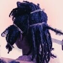 Como fazer dreadlocks: os métodos, passo a passo